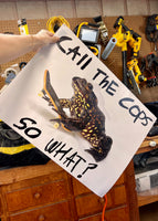 CALL THE COPS, SO WHAT? A POSTER