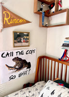 CALL THE COPS, SO WHAT? A POSTER