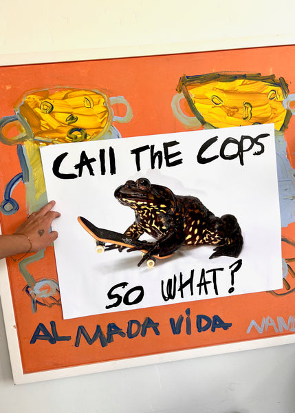 CALL THE COPS, SO WHAT? A POSTER