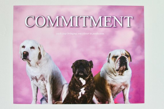 COMMITMENT POSTER – TRASHBOY
